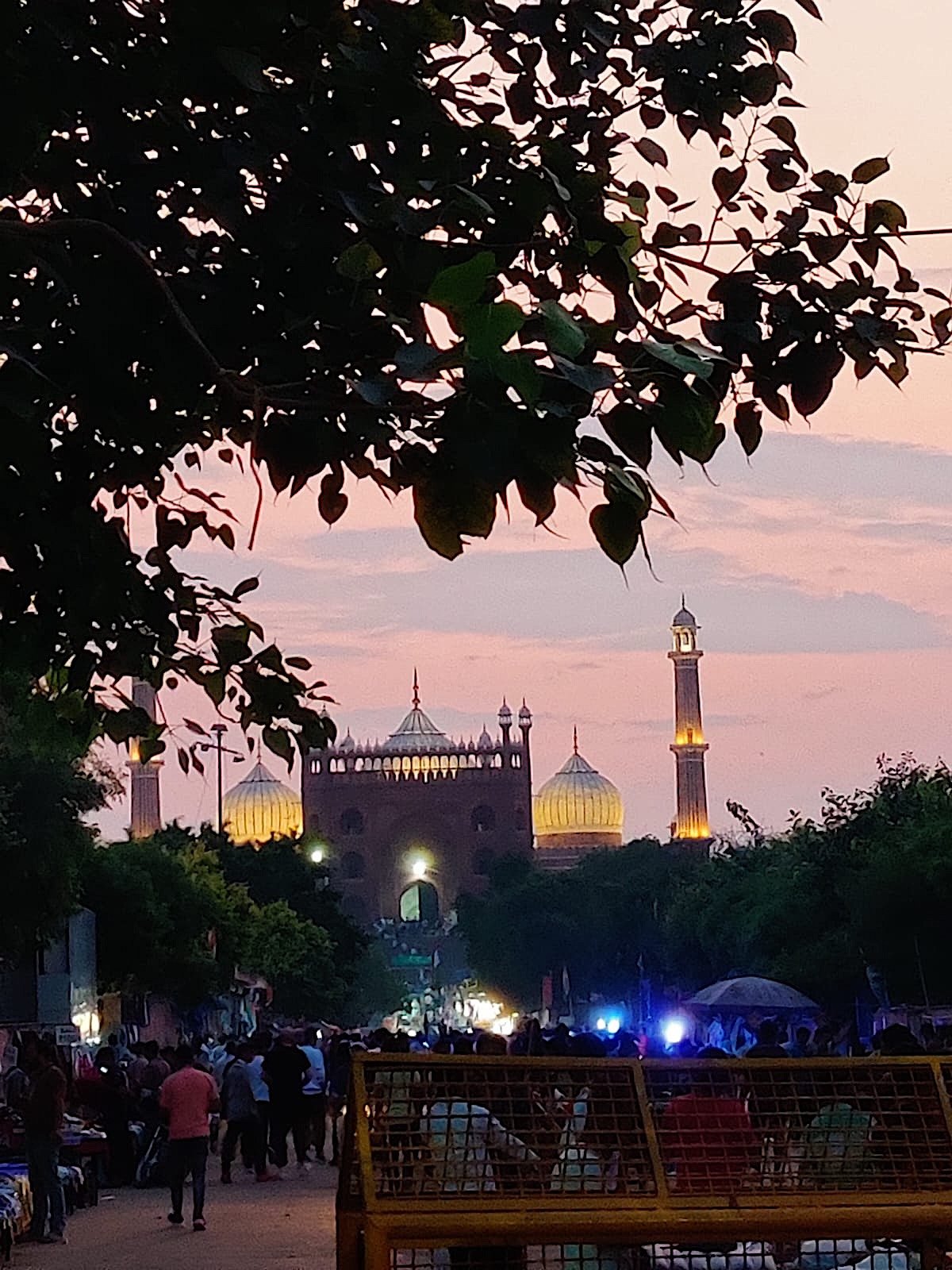 Delhi: The communal management of Muslim life under the BJP